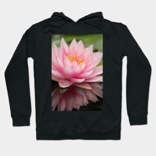 Pink lily Hoodie